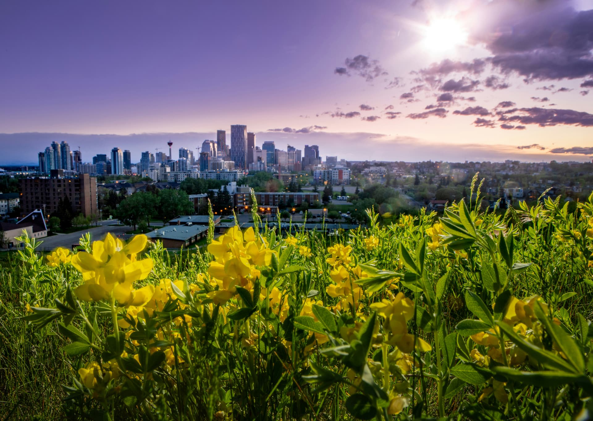 Calgary skyline at sunset