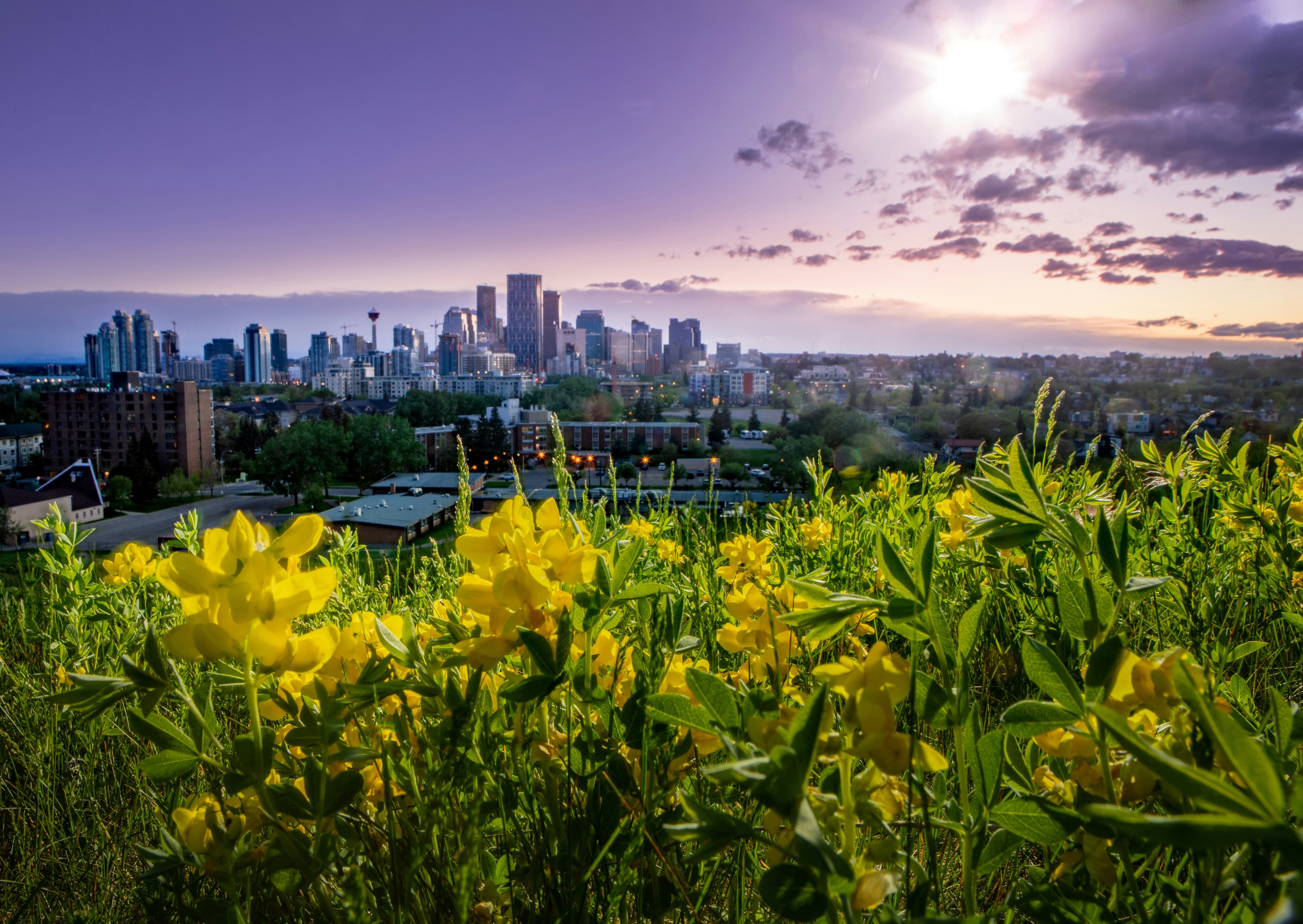 Calgary skyline