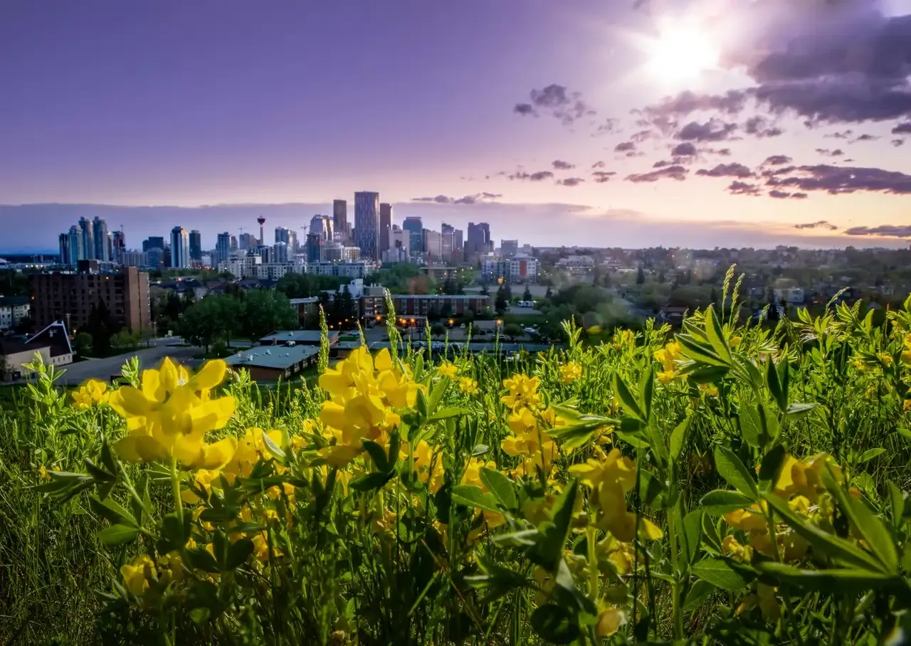 Calgary skyline at sunset